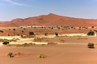 SOSSUSVLEI, Namibië