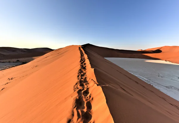 Sossusvlei, Namíbia — Fotografia de Stock