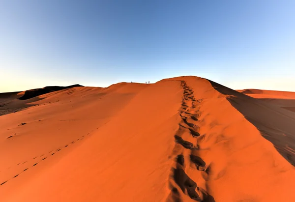 Sossusvlei, Namibia — Foto Stock