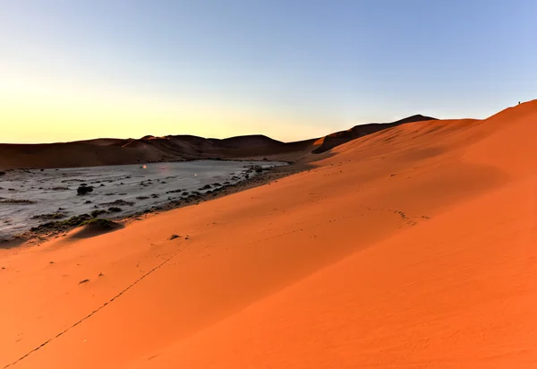 Sossusvlei, Namibia — Foto Stock