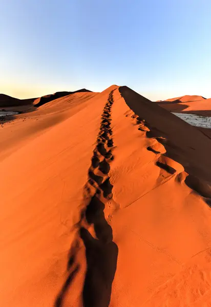 SOSSUSVLEI, Namibië — Stok fotoğraf