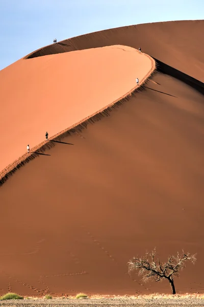 Namib Çölü, Namibya — Stok fotoğraf