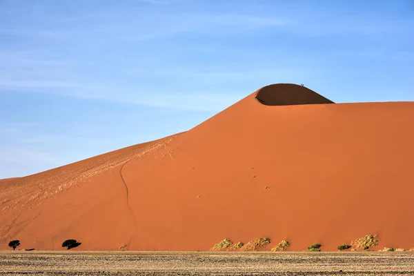 Namibská poušť, Namibie — Stock fotografie