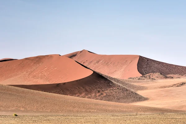 Desierto de Namibia, Namibia —  Fotos de Stock