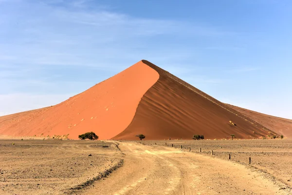 Désert namibien, namibie — Photo