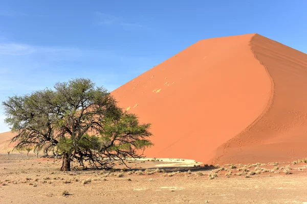 Namib Desert, Namibia — Stock Photo, Image