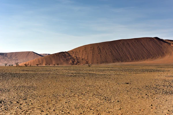 Namibská poušť, Namibie — Stock fotografie