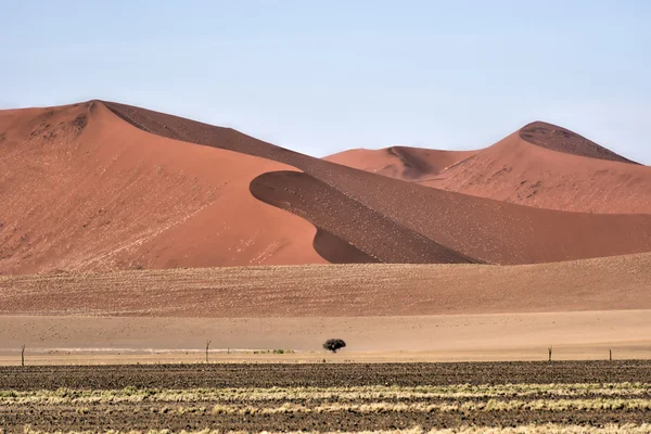 Desierto de Namibia, Namibia —  Fotos de Stock