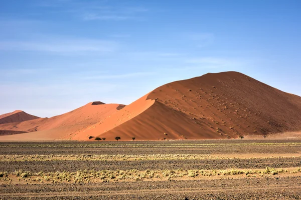 Desierto de Namibia, Namibia —  Fotos de Stock