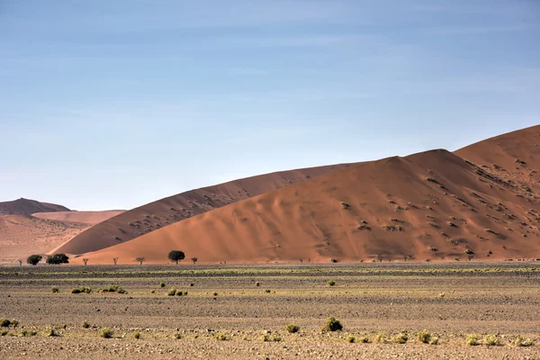Namib wüste, namibia — Stockfoto