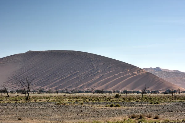 Desierto de Namibia, Namibia —  Fotos de Stock