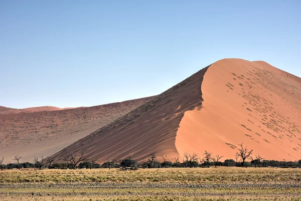 Namib woestijn, Namibië — Stockfoto