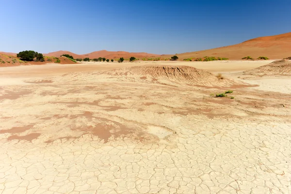 Sossusvlei, Namibia — Stock Photo, Image