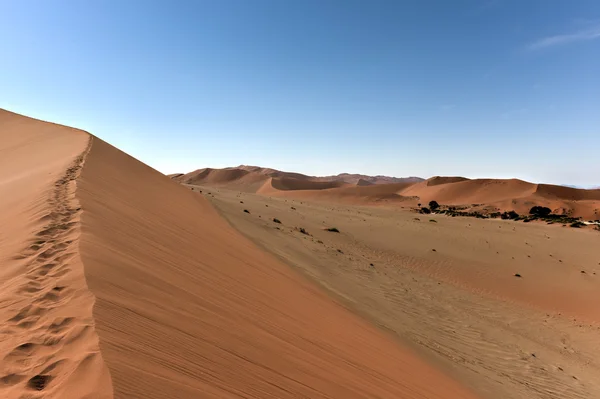 Sossusvlei, Namíbia — Fotografia de Stock