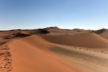 SOSSUSVLEI, Namibië
