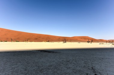 Ölü Vlei, Namibya