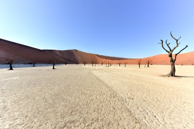 Ölü Vlei, Namibya