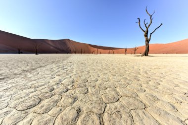 Ölü Vlei, Namibya