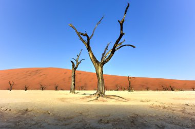 Ölü Vlei, Namibya