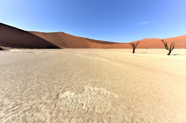Ölü Vlei, Namibya