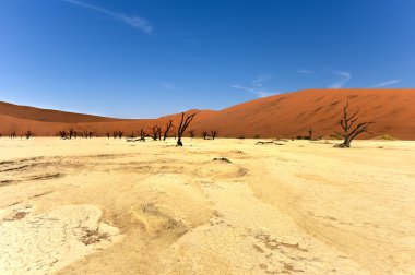 Ölü Vlei, Namibya