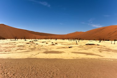 Ölü Vlei, Namibya