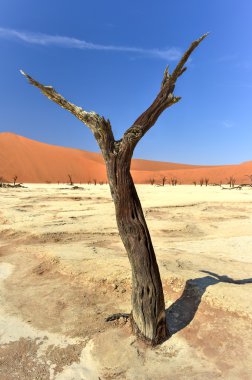 Ölü Vlei, Namibya