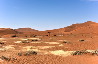 SOSSUSVLEI, Namibië