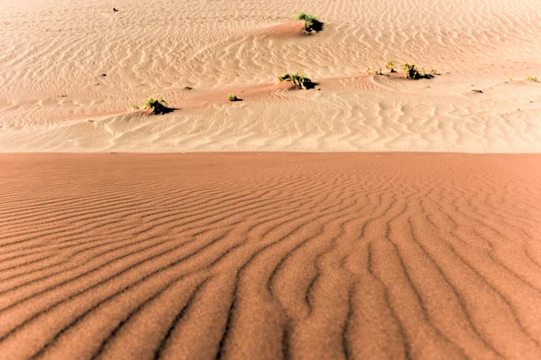 Sossusvlei, Namibia — Foto Stock