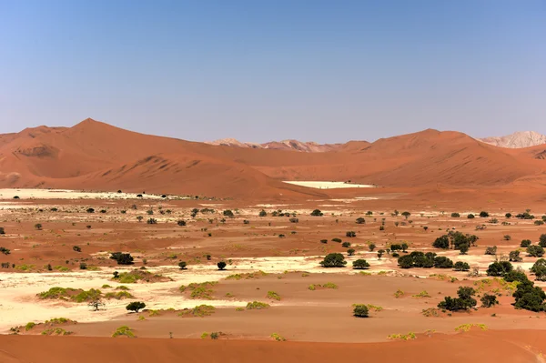 SOSSUSVLEI, Namibië