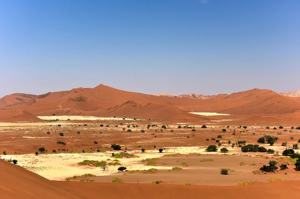 SOSSUSVLEI, Namibië