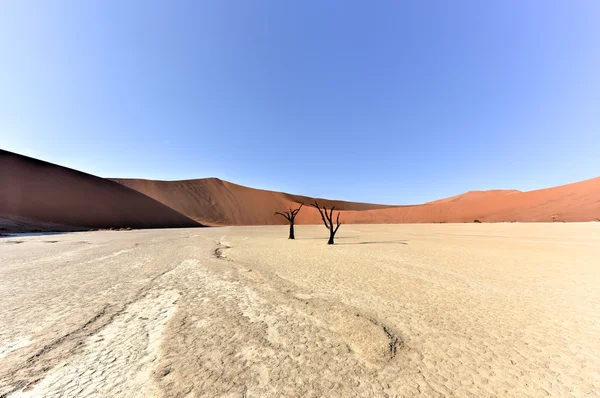 Död Vlei, Namibia — Stockfoto