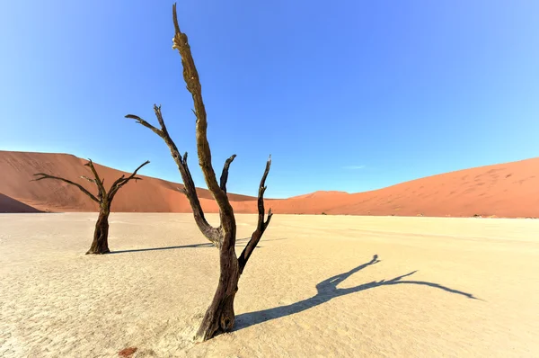 Dead Vlei, Namibia — Foto de Stock