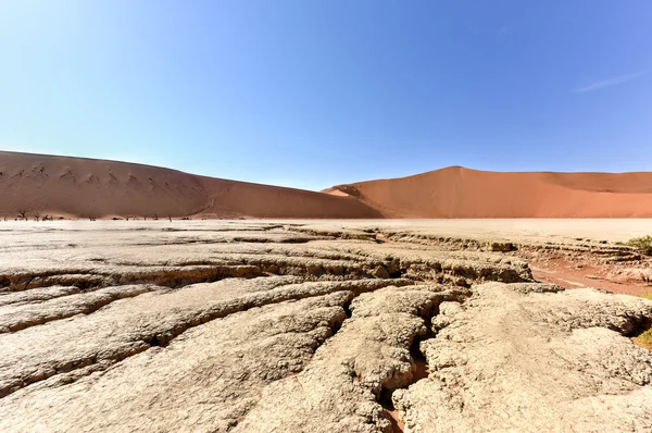 Död Vlei, Namibia — Stockfoto