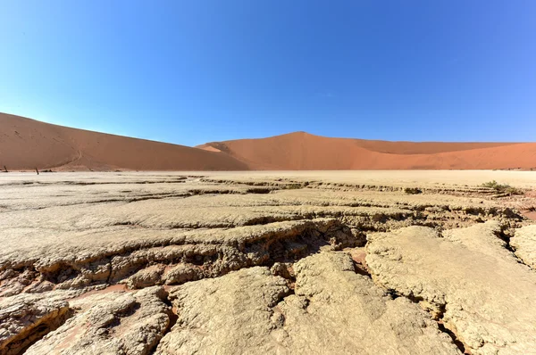 Νεκρός Vlei, Ναμίμπια — Φωτογραφία Αρχείου