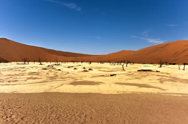 Morto Vlei, Namíbia — Fotografia de Stock