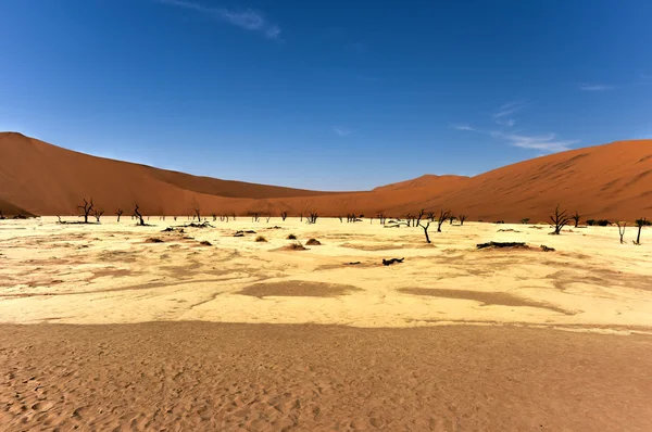 Dead Vlei, Namibia — Stockfoto