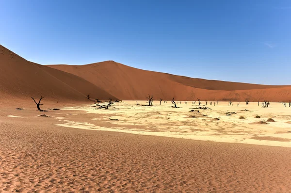 Dead Vlei, Namibia — Stock Photo, Image