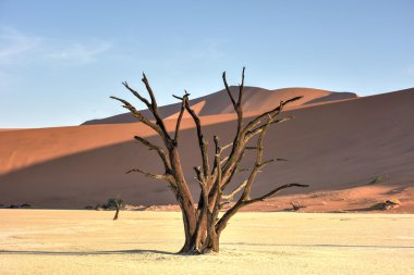 Ölü Vlei, Namibya