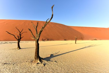 Ölü Vlei, Namibya