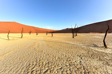 Ölü Vlei, Namibya