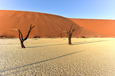 Ölü Vlei, Namibya