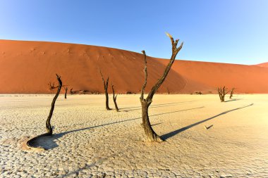 Ölü Vlei, Namibya