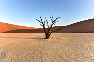 Ölü Vlei, Namibya