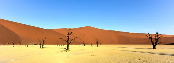 Dead Vlei, Namibia — Stockfoto