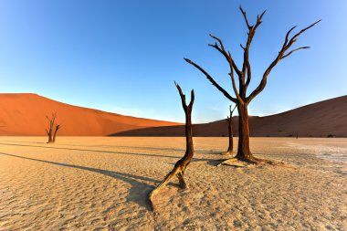 Ölü Vlei, Namibya
