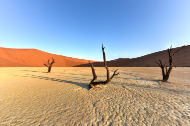 Ölü Vlei, Namibya