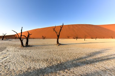 Ölü Vlei, Namibya
