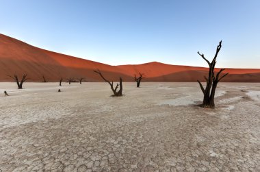Ölü Vlei, Namibya