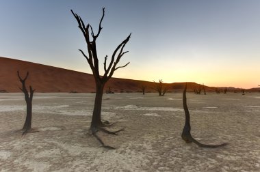 Ölü Vlei, Namibya